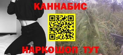 прущие грибы Обнинск