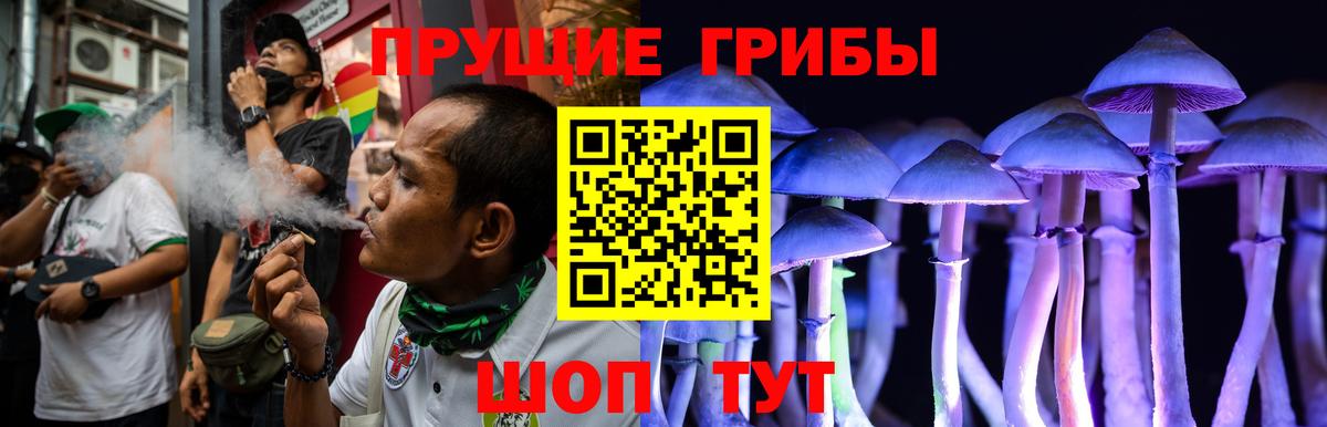 Карабулак  Псилоцибиновые грибы мицелий  Псилоцибиновые грибы Cubensis  Вход с VPN 